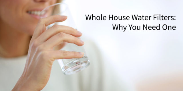 Whole house water filters: why you need one