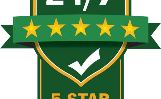 5 star service guarantee badge